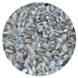 Wholesale Natural Semi Tumbled Mother of Pearl Gemstone Chips, Crushed Mini Crystals, Undrilled Crystal Chips (Mother of Pearl, 1 Pound)