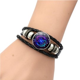 Atiptu Zodiac Signs Spirit Bracelet Constellation Bracelet for Women Men Zodiac Bracelets Adjustable Glow in the Dark Zodiac Gift for Constellation Lover (Pisces)