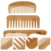 Gatuida 3 Pcs Bamboo Hair Combs Set Lightweight Detangling Combs