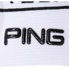 Pin Apparel 621-5186103 Men's Short Socks (Arch Support) / Golf