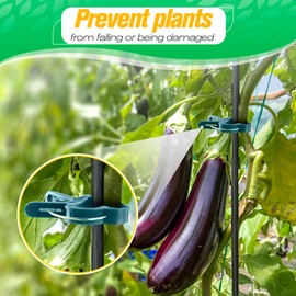 60 Pcs Plant Clips 2 Sizes Garden Clips for Plants Tomato Clips for Climbing Plants Garden Plant Clips Tomato Clips for Climbing Plants Hanging Plant Clips for Vines Gardening Supplies Support Clips