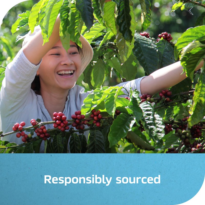 NESCAFÉ Ice Roast, Instant Iced Coffee, 2 Jars (6 Oz