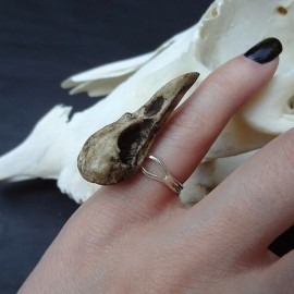 Raven Ranch Studio Mini Raven Skull Ring 1.5" Bird Skull - Cast Bone Resin Replica Adjustable Ring