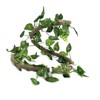 Reptile Climbing Branch Flexible Jungle 3.28ft Rattan 1Pc Vine(3.28ft Rattan+Scindapsus