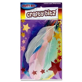Premier Stationery Crafty Bitz Duck Feathers - Assorted