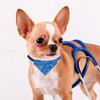 XIMA 6PCS Cat Bandana Collars with Removable Bow Tie for