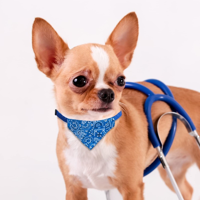 XIMA 6PCS Cat Bandana Collars with Removable Bow Tie for
