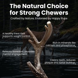 The Proper Hound® Small Whole Deer Antler for Dogs [Long Lasting] - Deer Bones for Dogs Humanely Sourced - Deer Antlers for Small & Medium Dogs - Deer Horns for Dogs - Real Deer Antlers 5 to 8 Inches