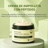 MIZON [MIZON] Peptide Ampoule Cream 50ml