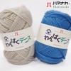 Hamanaka 2266 Nampaku Dennis #5 Wool for Kids