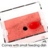 CaveView Small-Ant Nest for New Queens and Small Colonies with