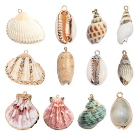 Tofficu 12pcs Natural Seashell Beads, Natural Shells Manual Jewelry Accessories, White Cowrie Seashells Charm Conch Shells Plated Beads for Jewelry Making Art Craft DIY (Mixed)