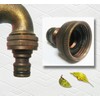 Brass Turtle Garden Outdoor Faucet - With a Brass Connecter