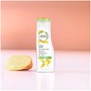 Herbal Essences Naked Daily Detox Clean Shampoo, 400ml