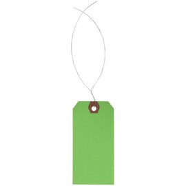 Aviditi Pre-Wired Shipping Blank Tag, 13 Point Cardstock, 4-1/4" L x 2-1/8" W, Green, Case of 1000 (G11043D)