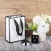 Nwvuop 2Pcs Small Jewellery Gift Box and 2Pcs Bags, 2.0