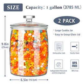 2 Pack 1 Gallon Glass Cookie Jar, Large Glass Jar with Airtight lid, Glass Food Storage Container for Cookies, Candy, Flour, Dog Treats, Coffee, Apothecary Jars