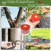 Werncy 3 Hummingbird Window Feeders, Outdoor Small Hummingbird Feeder with
