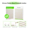 500 Premade Fans Eyelash Extensions 8-15mm Mixed Length Brown Promade