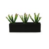 WGVI Long Rectangle Ceramic Planter Vase in Black 14" x