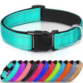 Joytale Reflective Dog Collar,Soft Neoprene Padded Breathable Nylon Pet Collar Adjustable for Large Dogs,Teal,L