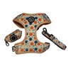 SUPER DOGGY Anti-Pull Dog Harness Set with Lead and Bag