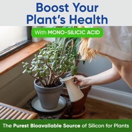 AgroMagen, Si-Tech Silica, Mono-Silicic Acid Plant Nutrient Solution with Proprietary Technology (16 fl.oz)