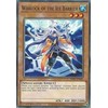Warlock of The Ice Barrier - SDFC-EN010 - Common - 1st Edition