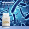 FREZZOR Probiotic + Prebiotic Capsules, Once Daily 60 Billion CFUs,