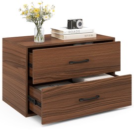 POWERSTONE 2 Drawers Wooden Organizer, Storage Cabinets Under Desk Storage Small Dresser with Drawers for Living Room, Office Home, Walnut