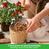 Riare 4 Pack Coco Chips Substrate for Plants- 4.4lb 100%