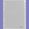 Durable Blanko-Register aus PP (mit blanko Taben) 10-teilig, grau, 644110
