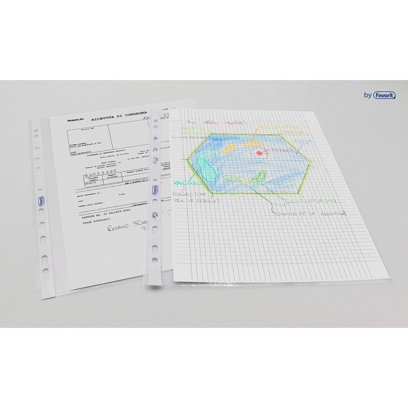Favorit Buste Perforate, Buccia d'Arancia, Spessore Basso, 22 x 30