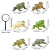 KxrTpx 7 pcs frog, frogs, frog toys, plastic frogs, animals