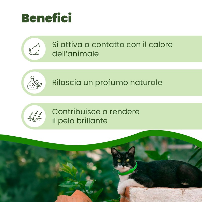 CAMON | Collare Barriera per Gatto "Olio di Neem", Rilascia