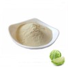 Cabbage Extract Powder 1kg