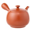 Tokoname Ware tk032 Teapot, Takeharu, Strained, 19.3 fl oz (540