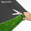 LITA Artificial Grass Rug Outdoor Artificial Turf 1FTX62FT Green Zebra
