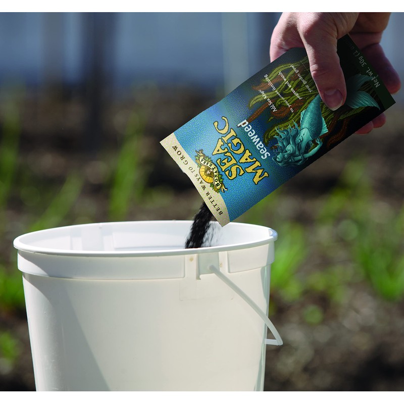 Sea Magic Dry Soluble Seaweed Extract Fertilizer - 30 Gram
