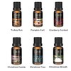 Christmas Essential Oils Gift Set, for Home, for Diffusers, 6x10mL,