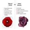 Eternal Petals A 100% Real Rose That Lasts Years, Handmade