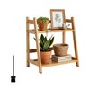 Kitchen Shelf Bamboo Cup Holder 2-Tier - Coffee & Tea