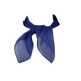 TFJ Women Fashion Neck Scarf Sheer Soft Basic Fabric Pocket Square Fun Style (Blue)