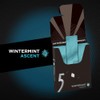 5 GUM Wintermint Ascent Sugar Free Chewing Gum Bulk, 15