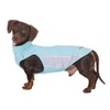 WienieDay Dachshund Dog Cooling Vest, Breathable Summer Dog Cooling & Quick-Dry Shirt for Outdoor Activities,Mini Dachshund Lightweight Clothes, Vest Small Dogs (Blue, XL (22-27 lbs))