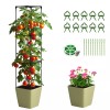 Docred Tomato Planter Boxes with Trellis Wheel 63" Self-Watering Tomato