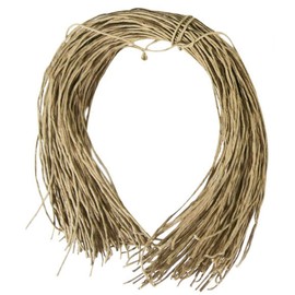 Wrapables 50 Gift Tags/Kraft Hang Tags with Free Cut Strings for Gifts, Crafts & Price Tags Wavy Tag