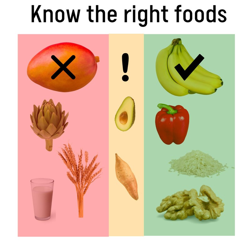 Low FODMAP Chart Magnet - IBS Diet Cheat Sheet Fridge