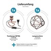 ledscom.de RETRA Table Lamp Switch Matte Bronze E27 Socket Cage
