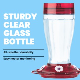 More Birds Bird Health+ Big Gulp Hummingbird Feeder, Glass Hummingbird Feeders for Outdoors, 5 Feeding Stations, 40 Ounces